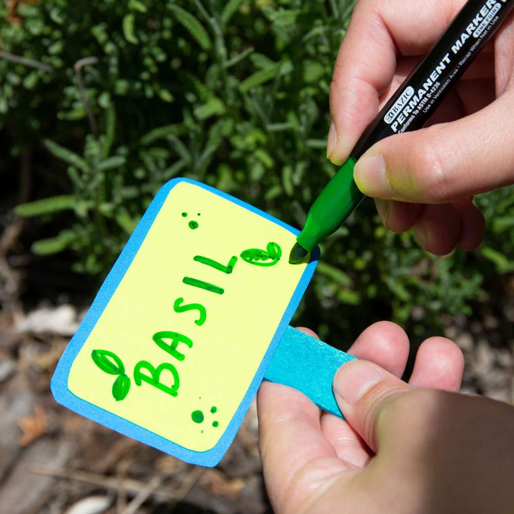 BAZIC Bright Colors Fine Tip Permanent Markers