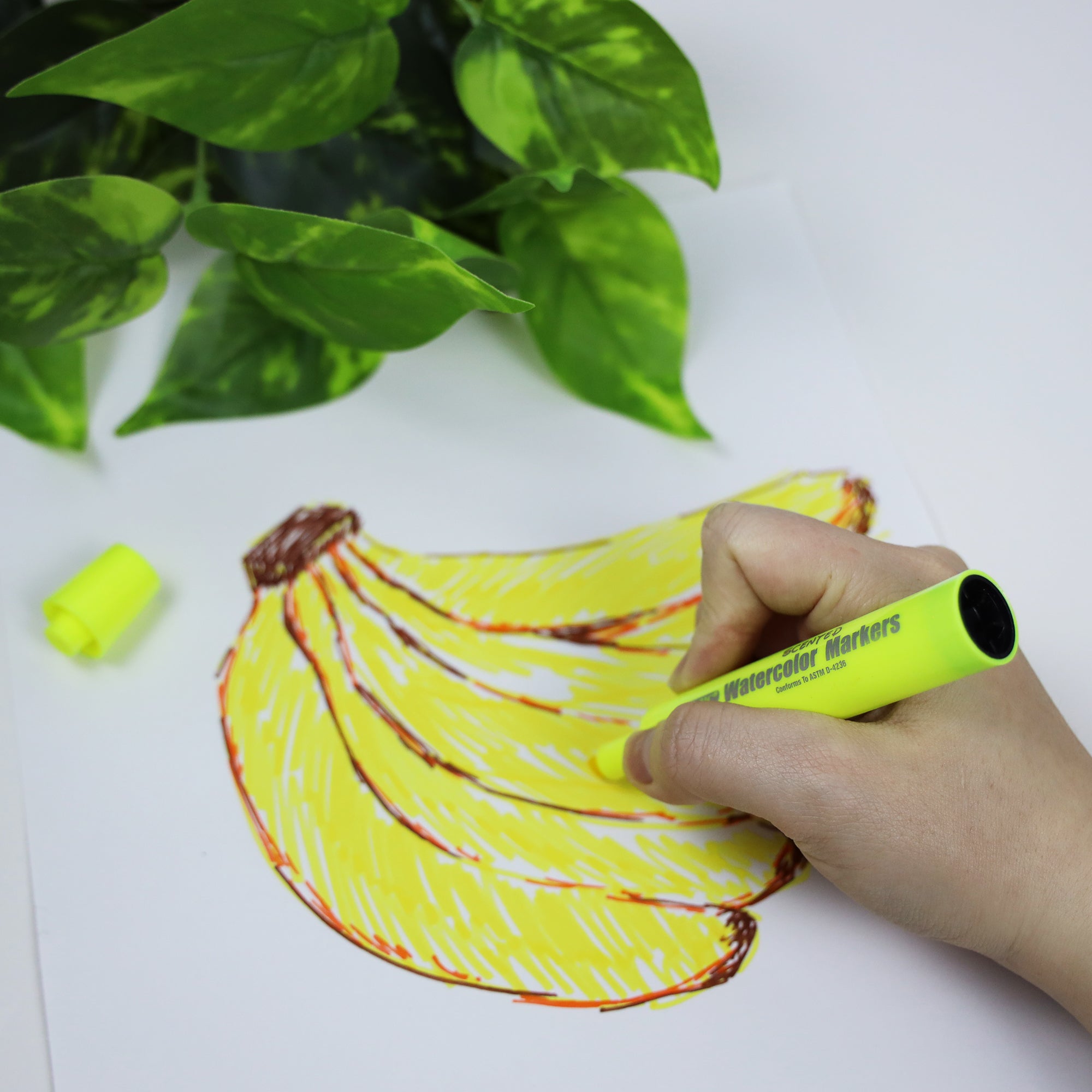 BAZIC 6 Colors Washable Scented Markers