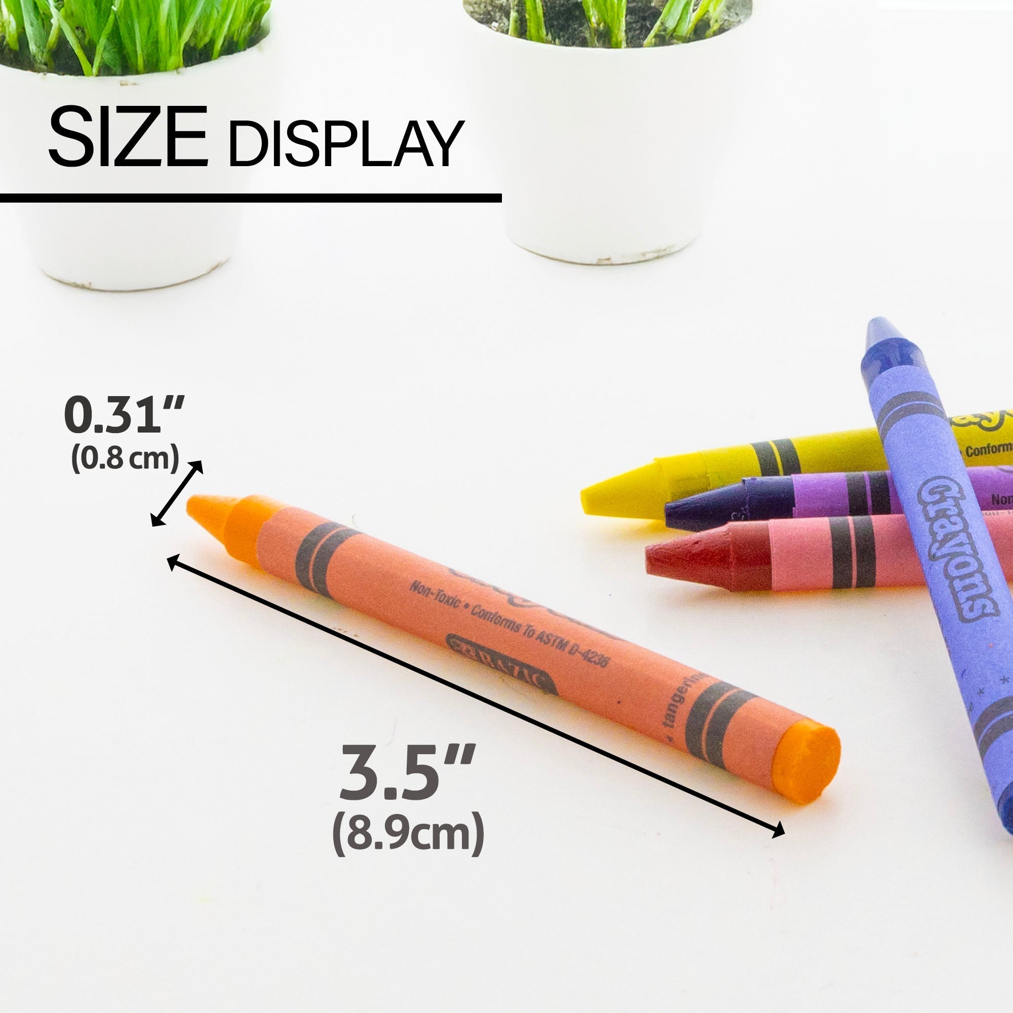 BAZIC 24 Color Premium Crayons