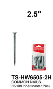 Common Nails (2.5")