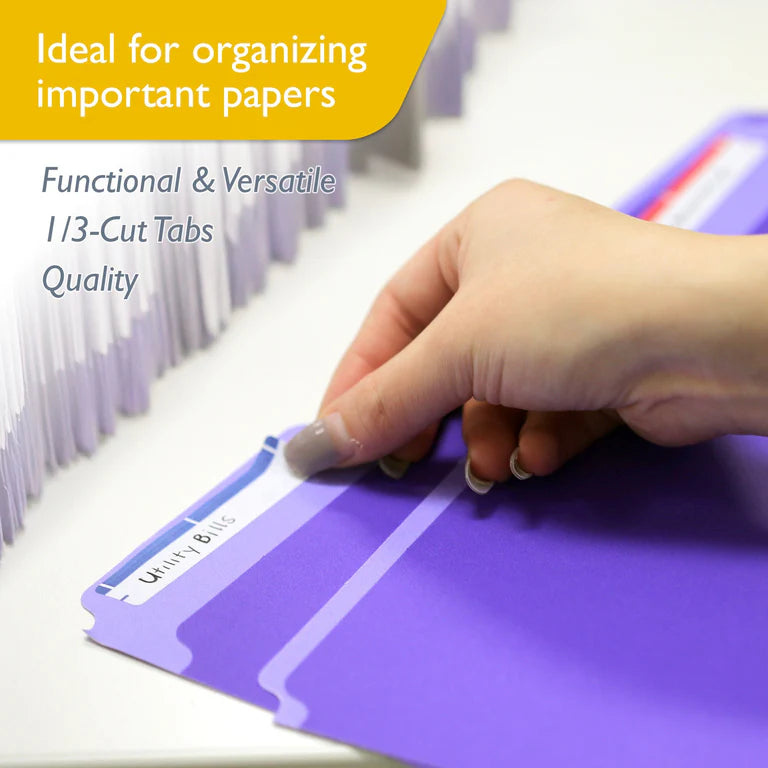 BAZIC 1/3 Cut Letter Size Color File Folder