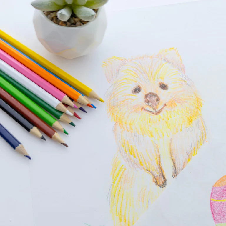 BAZIC 12 Colored Pencils